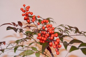 新春